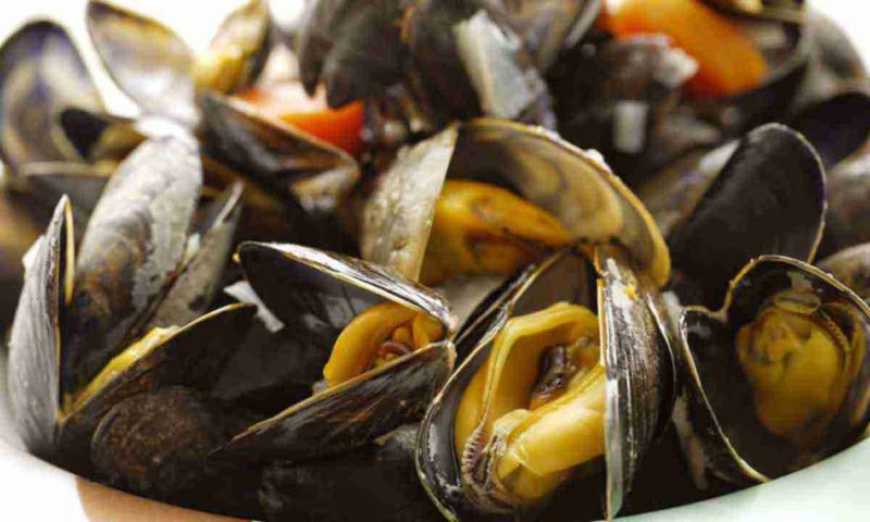 Каховська ГЕС: через катастрофу біля Одеського узбережжя загинуло понад 50% мідій