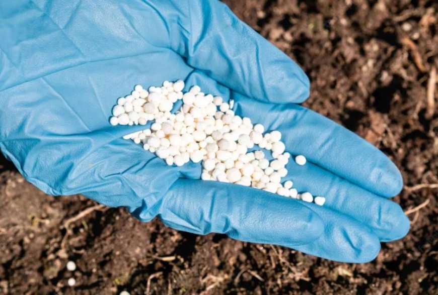 Навесні українські аграрії можуть зіткнутися з дефіцитом азотних добрив