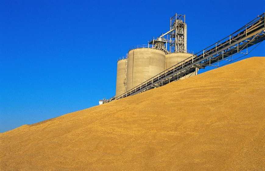 Елеватори відмовляються приймати зерно від дрібних виробників, – фермер