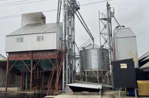 Модернізація як стратегія: як господарство на Вінниччині інвестує у стабільність