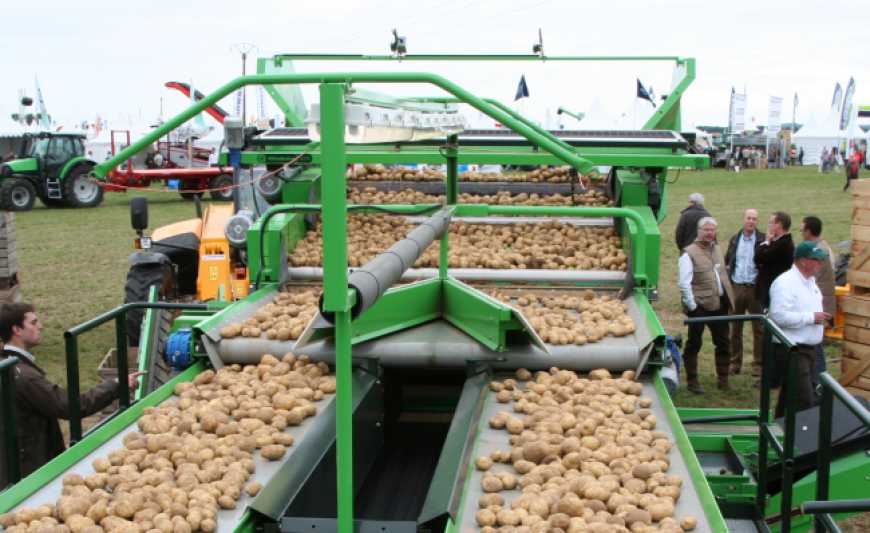 Tolsma-Grisnich: інновації у зберіганні та доробці картоплі на PotatoEurope 2025 та відкриття нового заводу