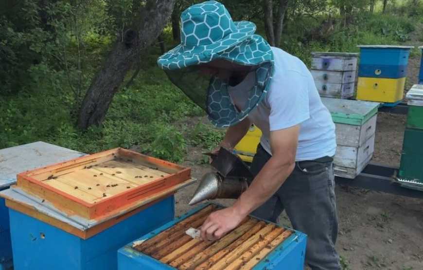 На Хмельниччині ветеран ЗСУ разом з родиною відновлює втрачену пасіку