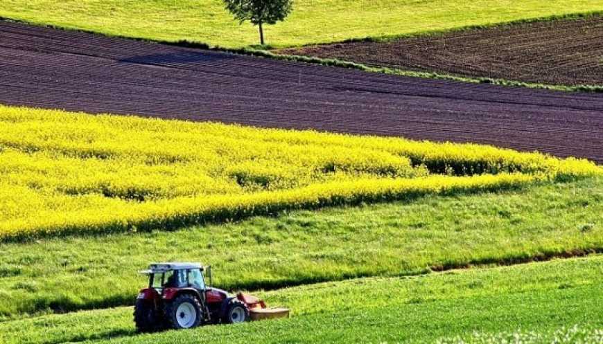 У Держгеокадастрі розповіли, скільки землі в Україні обробляється неофіційно