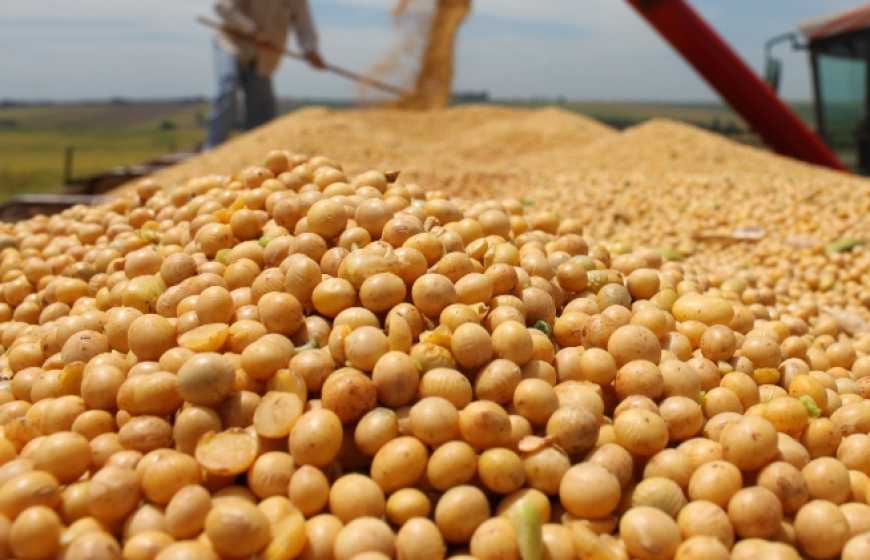 EBA закликає скасувати експортне мито на сою та ріпак
