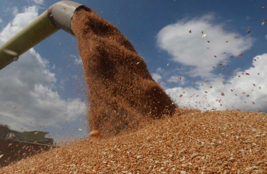 Цьогоріч прогнозується збільшення виробництва агропродукції в Україні