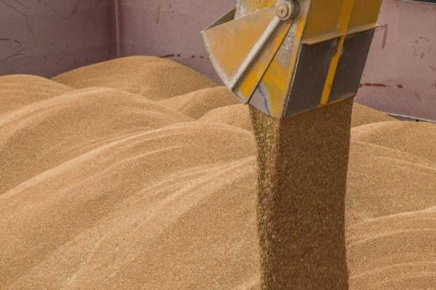 За тиждень експорт агропродукції з морських портів України скоротився на 78%