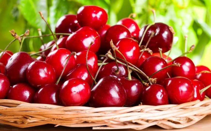 &laquo;Мелітопольська черешня&raquo; експортувала вже більше 600 тонн продукції