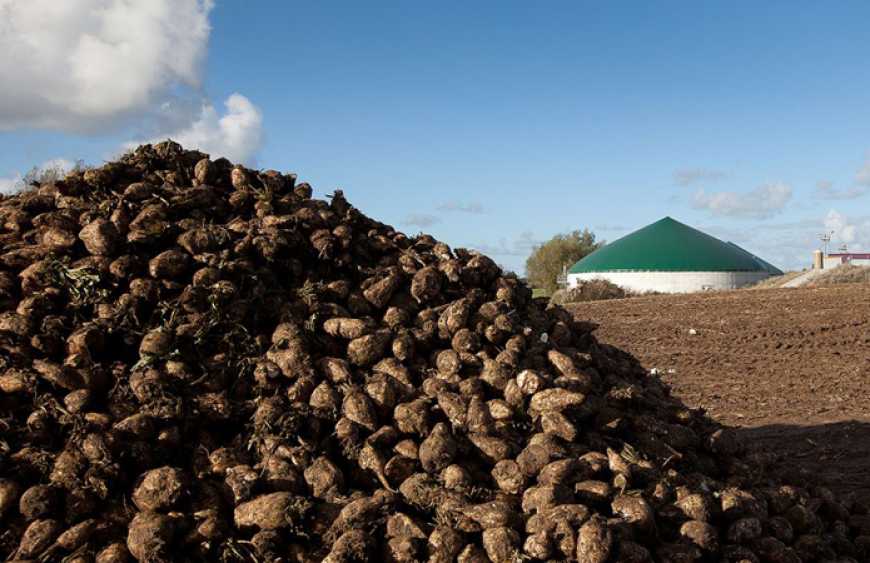 Експерт розповів власникам біогазових установок, як диверсифікувати виробництво