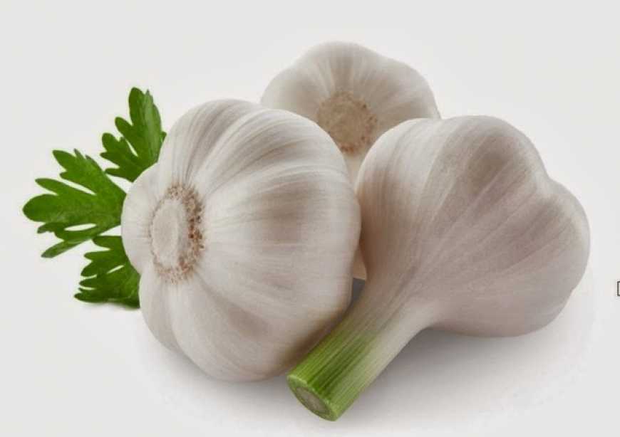 Світові ціни на часник падають через бум врожаю в Китаї