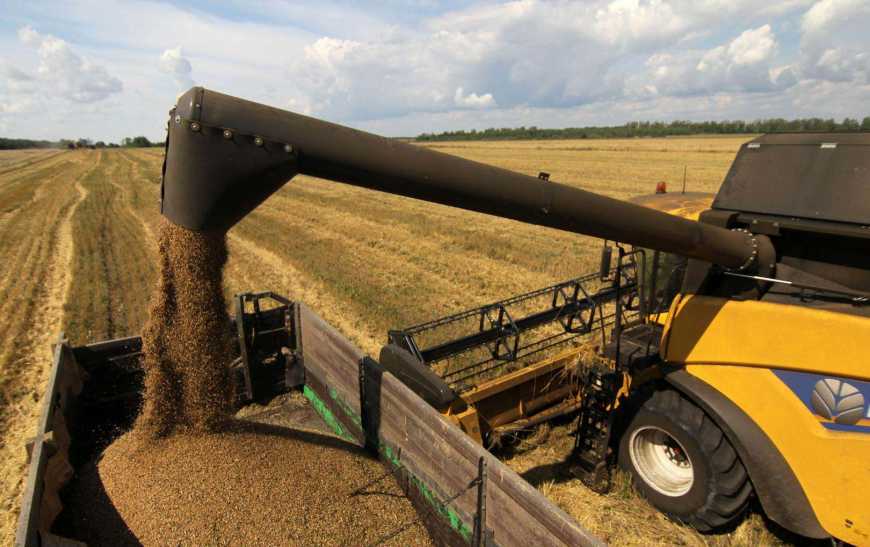 Жнива 2018: намолочено 66,4 млн тонн зерна