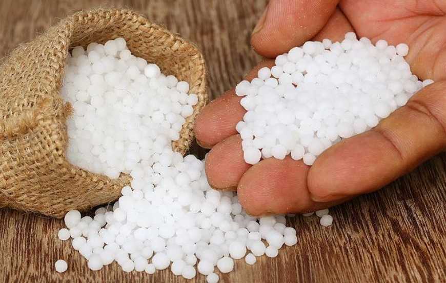 Ринок добрив: в Україні різке подорожчання карбаміду зупинило попит