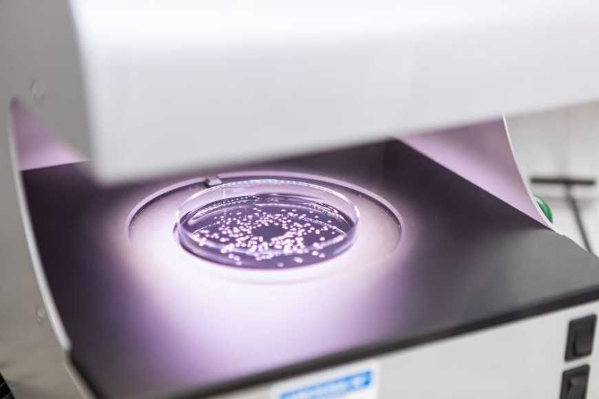 Біологічна інновація у захисті зернових та польових культур