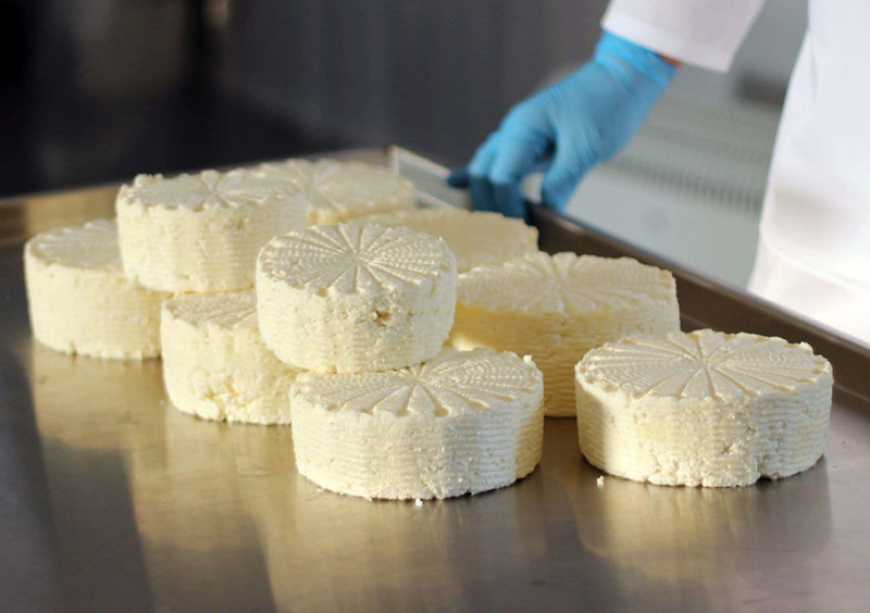 На Рівненщині запустили нову сироварню