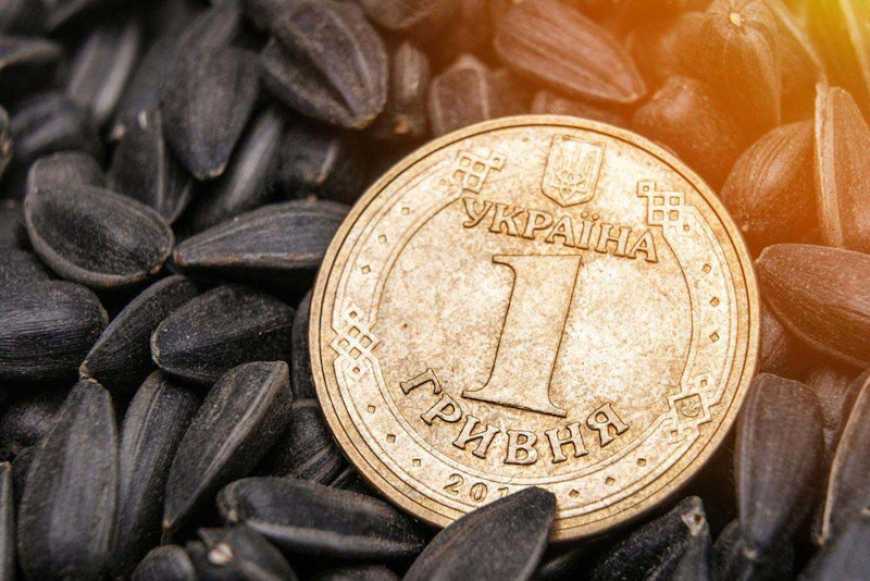 Ринок соняшнику: ціни в Україні продовжують знижуватися під впливом помірного попиту