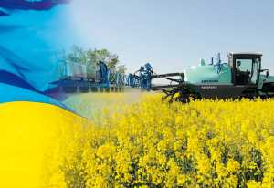 Як зробити ріпак &laquo;несмачним&raquo; для шкідників і патогенів