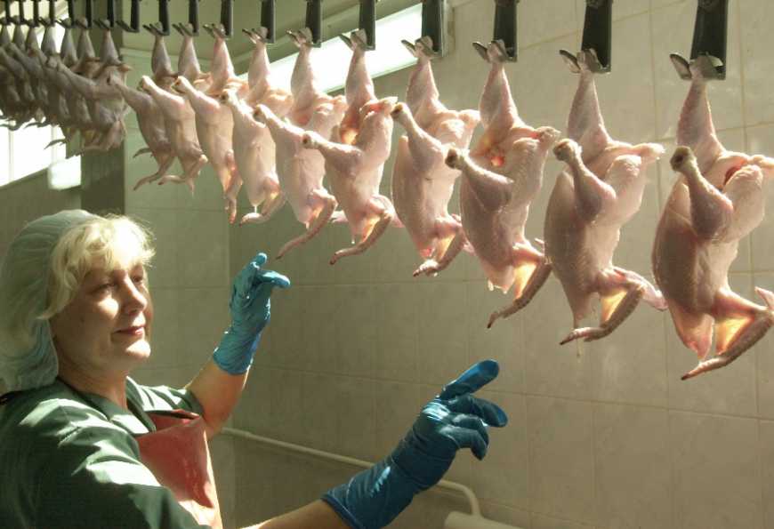 У світі збережеться підвищений попит на курятину, – USDA