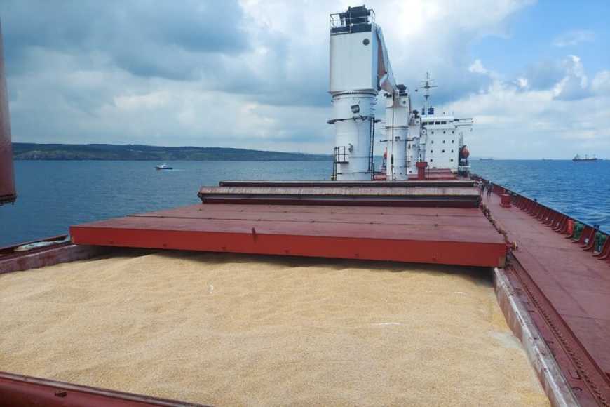 Представники росії гальмують перевірку суден у &laquo;зерновому коридорі&raquo;