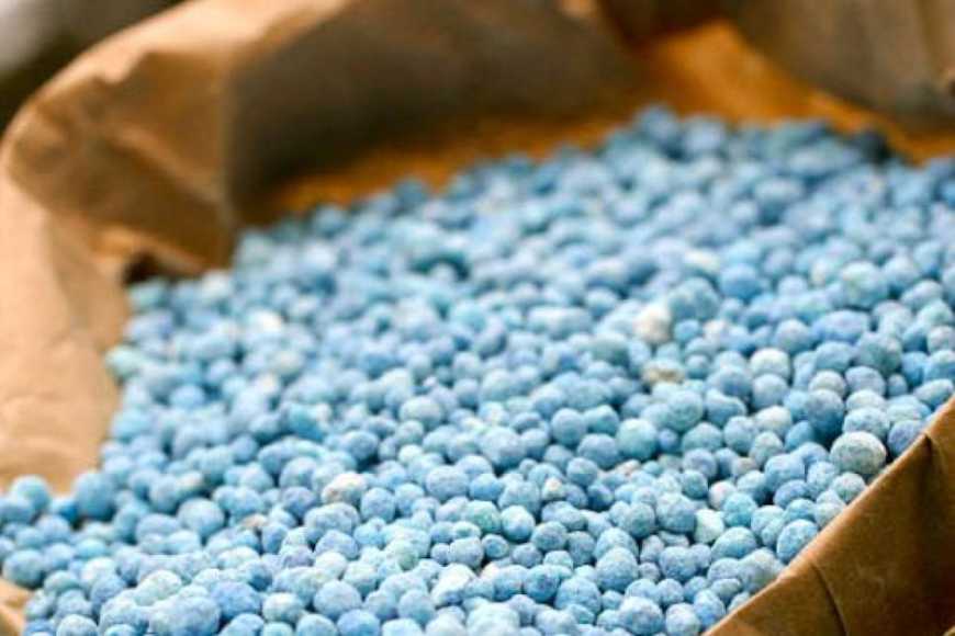 Україна пропонує ПАР створити спільний «мінеральний хаб» для добрив