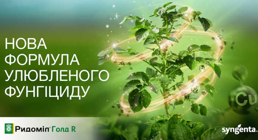Ридоміл® Голд R: нова формула улюбленого фунгіциду