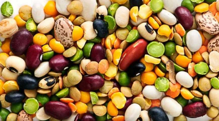 Нішеві культури – своєрідна подушка безпеки для аграріїв України, – думка