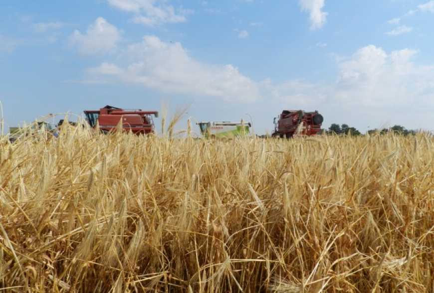 На полях намолотили 3,5 мільйонів тонн зерна