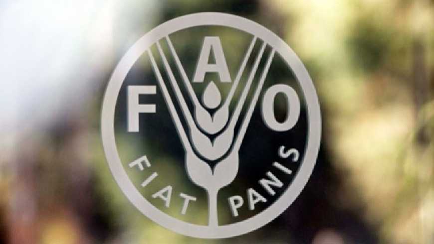 Цьогорічний світовий урожай зерна поб`є рекорди