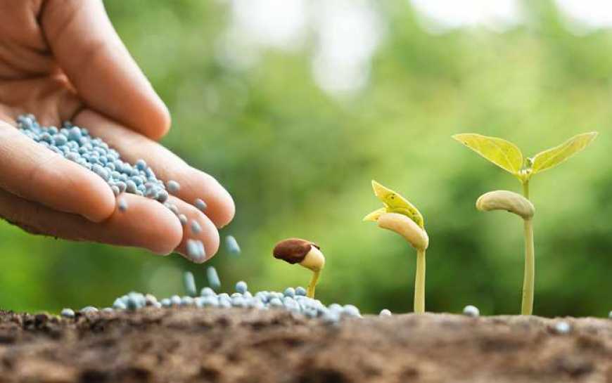 Українські аграрії на 108% забезпечені мінеральними добривами