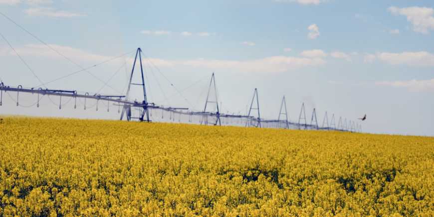 Держводагентство підбило підсумки зрошувального сезону: споживання води зросло на 5%