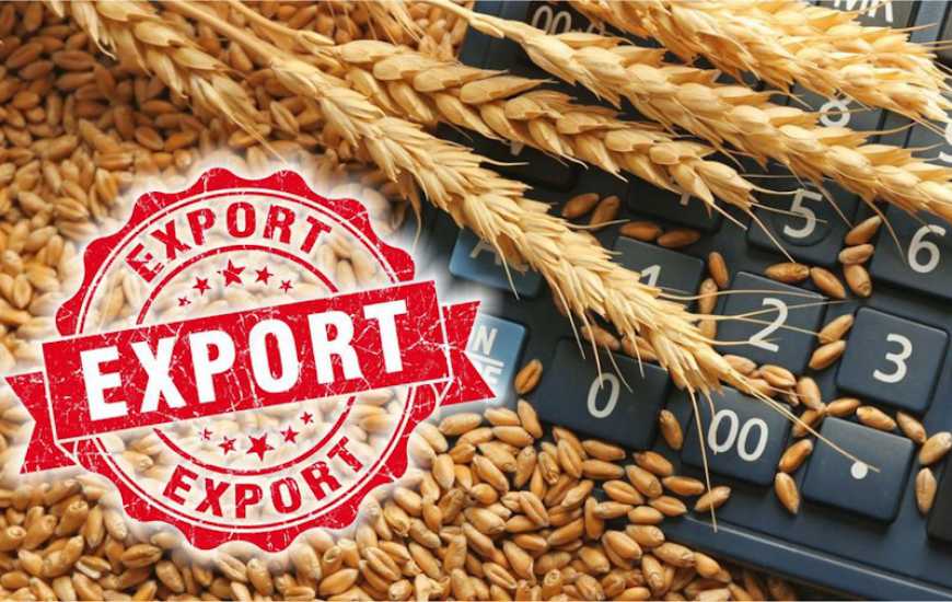 У лютому Україна експортувала 4,9 млн тонн агропродукції