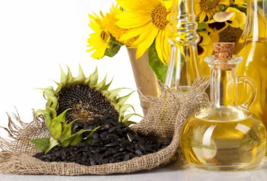 Дрібні та середні переробники зупинили виробництво соняшникової олії