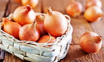 Заборона експорту індійської цибулі відкриває можливості для українських фермерів