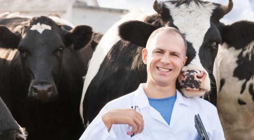 Тарифи на послуги ветслужби будуть індексуватися автоматично