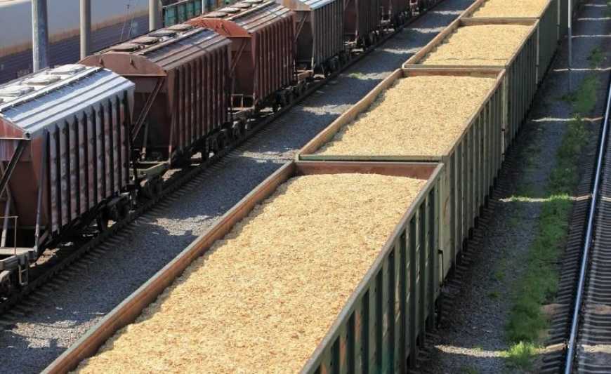 Укрзалізниця: парк зерновозів може зменшитись у понад 3 рази до кінця року
