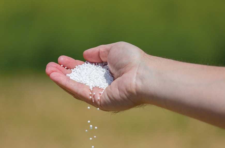 Ринок добрив: світові ціни на аміачну селітру зростають слідом за карбамідом