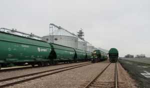 Стало відомо, на які прикордонні переходи краще везти зерно