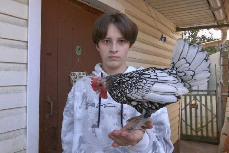 На Тернопільщині юний фермер вирощує незвичних декоративних курей