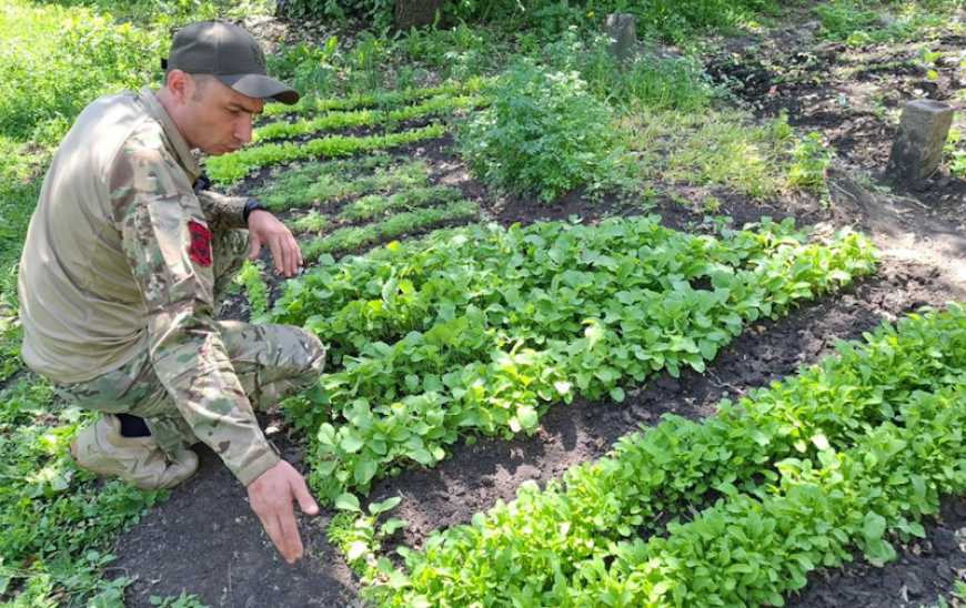 Військовий з Тернопільщини доглядає за грядками на передовій