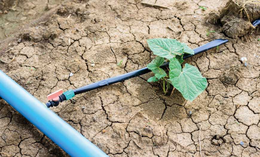 Через відсутність зрошення щорічні економічні втрати на півдні України оцінюються у 300 млн доларів