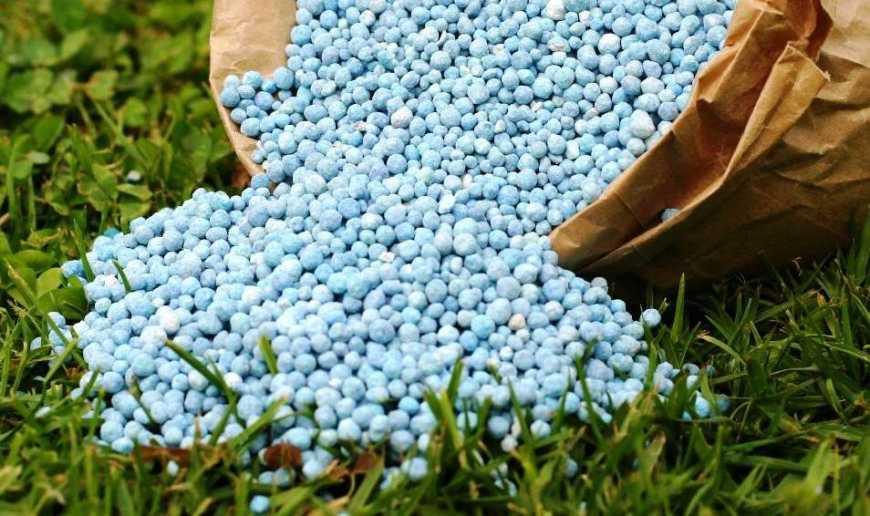 В Україні знизилися ціни на азотні добрива