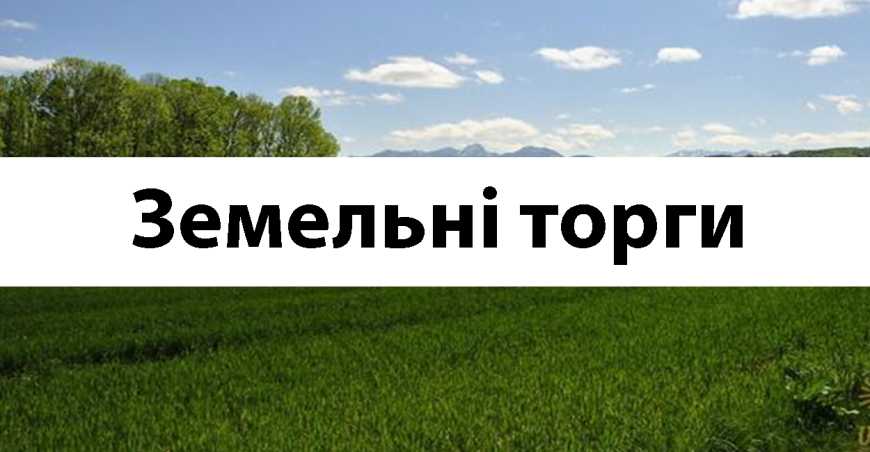 Як купити або орендувати землю на електронному аукціоні?