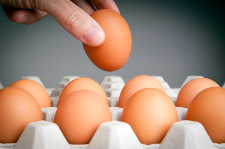 Законодавчі вимоги до курячих яєць