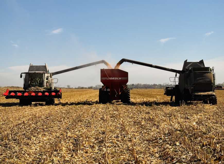 Жнива-2024: «Контінентал» перевищив планову врожайність по всіх основних культурах