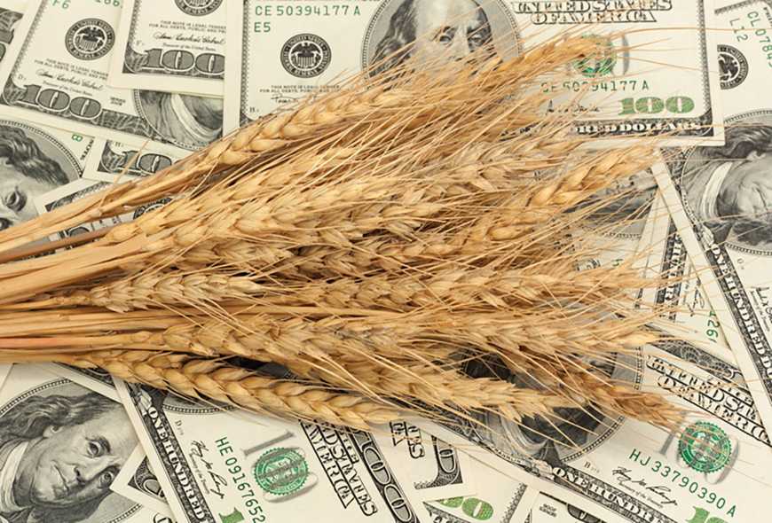 За два місяці Україна продала за кордон понад 5 мільйонів тонн зерна
