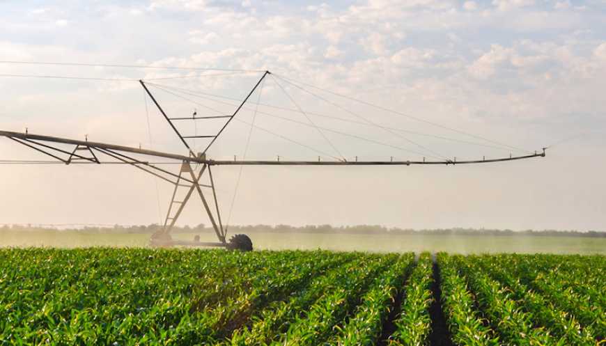 Меліоративна реформа в Україні: Рада прийняла ключовий закон