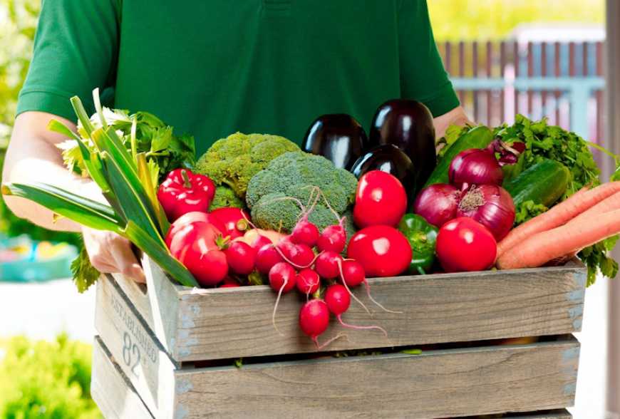 На Київщині дрібні фермери планують побудувати розподільчі продуктові термінали