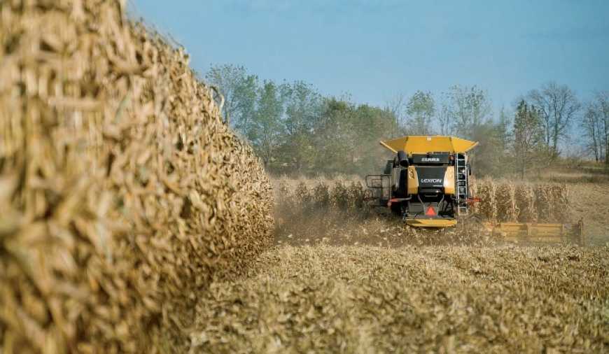 Жнива-2019: В Україні зібрано понад 10 млн тонн кукурудзи