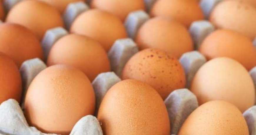 Яйця стають "на вагу золота": як змінились ціни в Україні