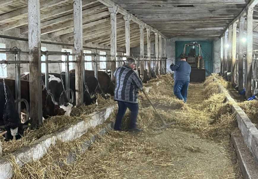 На Вінниччині сімейна ферма запустить власну сироварню