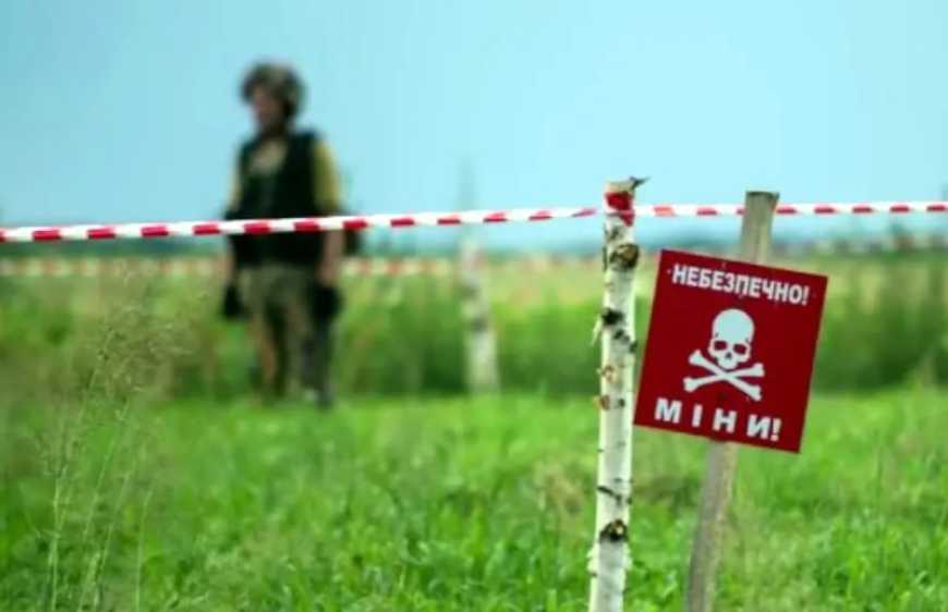 Розмінування: від початку року в Україні очищено майже 35 тис. га сільгоспземель