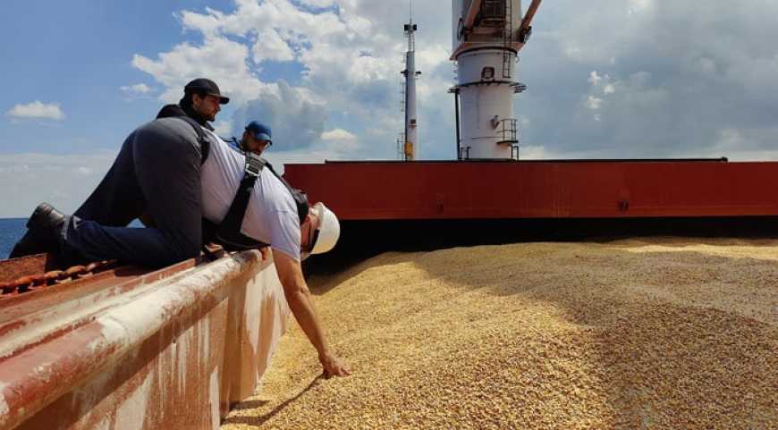 Ліванський покупець відмовився від української кукурудзи з першого судна